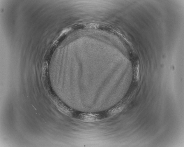 X0000085810229200704091615