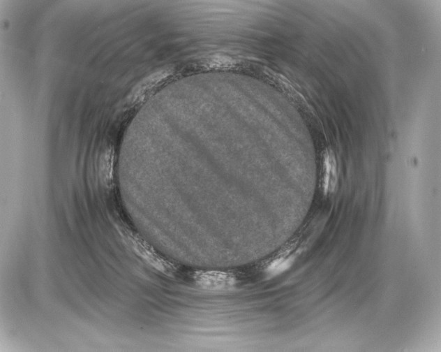 X0000085810230200704091615