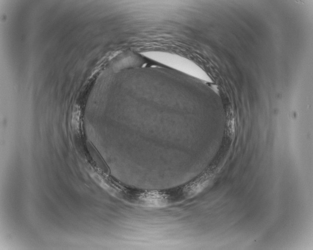 X0000085810231200704091615