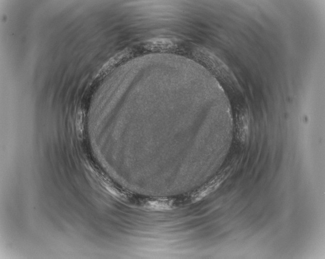 X0000085810232200704091615