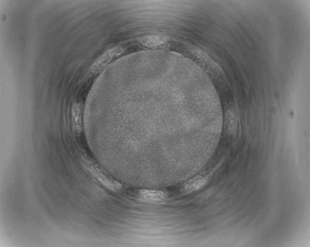 X0000085810234200704091615