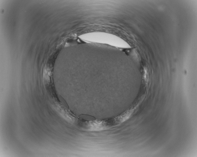 X0000085810235200704091615