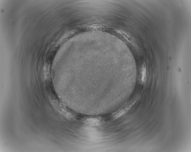 X0000085810236200704091614