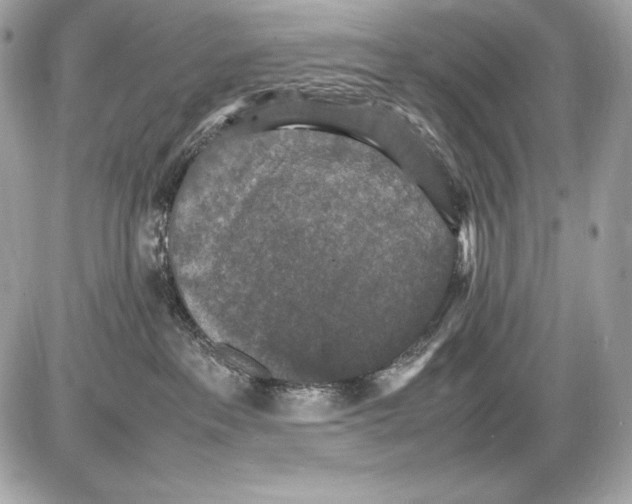 X0000085810237200704091614