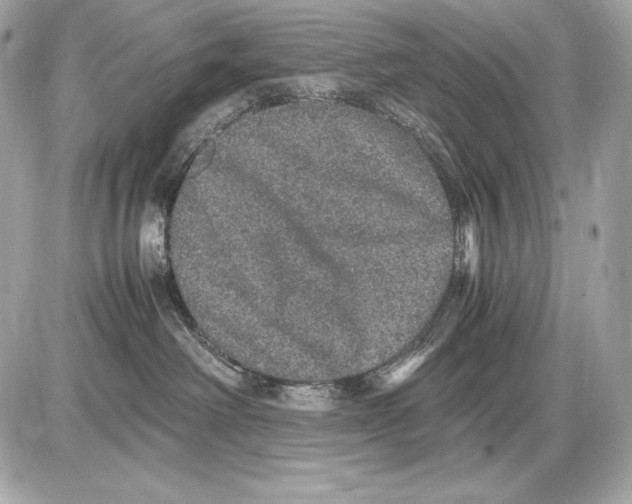 X0000085810238200704091614