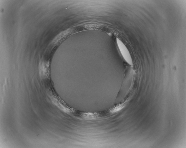 X0000085810239200704091614