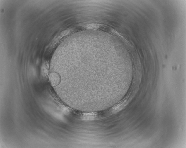 X0000085810240200704091614