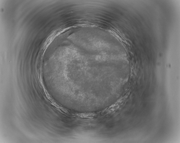 X0000085810241200704091614