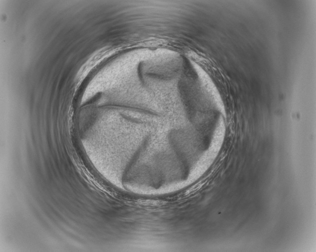 X0000085810242200704091614