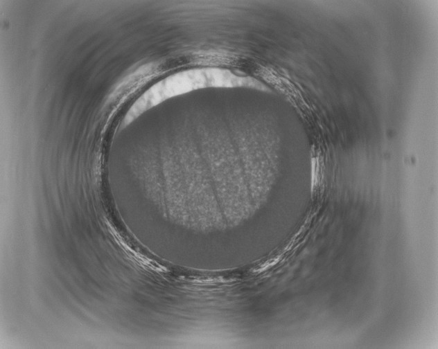 X0000085810243200704091614