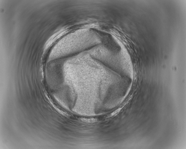 X0000085810245200704091614