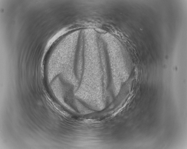 X0000085810246200704091614