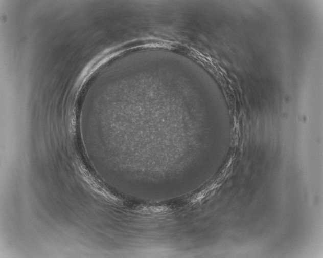 X0000085810247200704091614