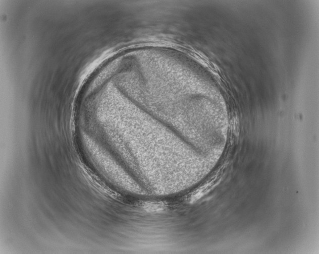 X0000085810248200704091614