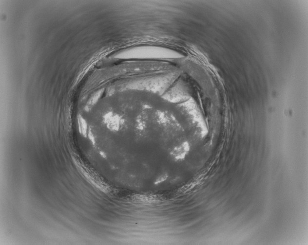 X0000085810250200704091614