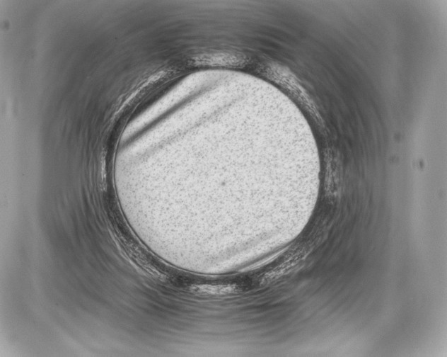 X0000085810251200704091614