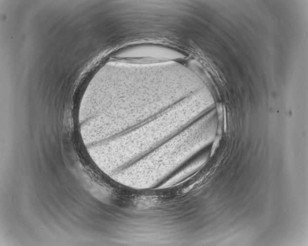 X0000085810252200704091614