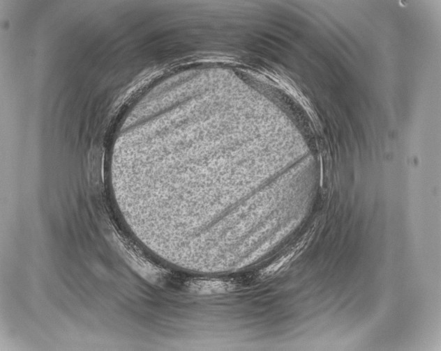 X0000085810253200704091614