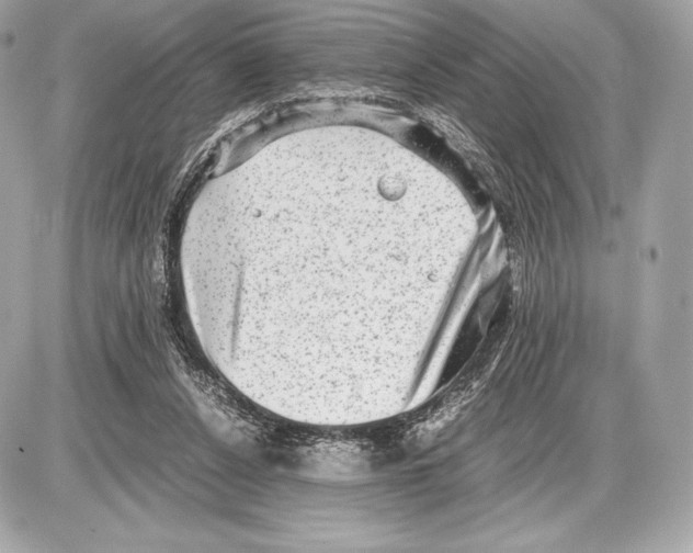 X0000085810256200704091614