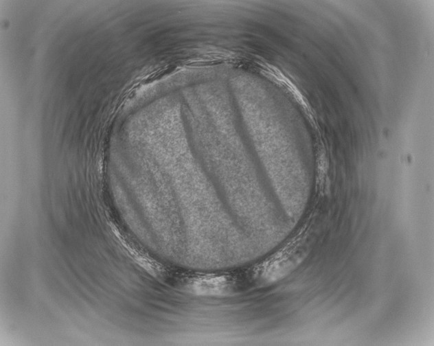 X0000085810257200704091614