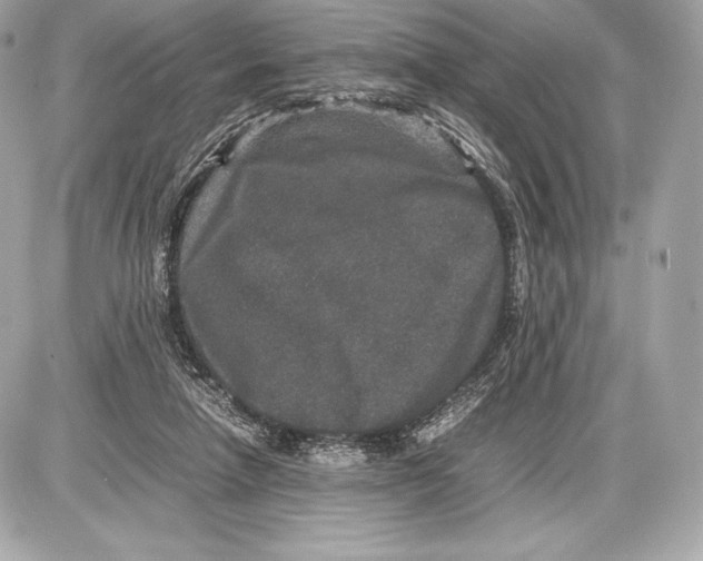 X0000085810258200704091614