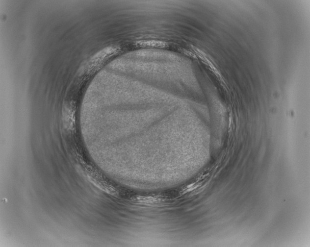 X0000085810259200704091614