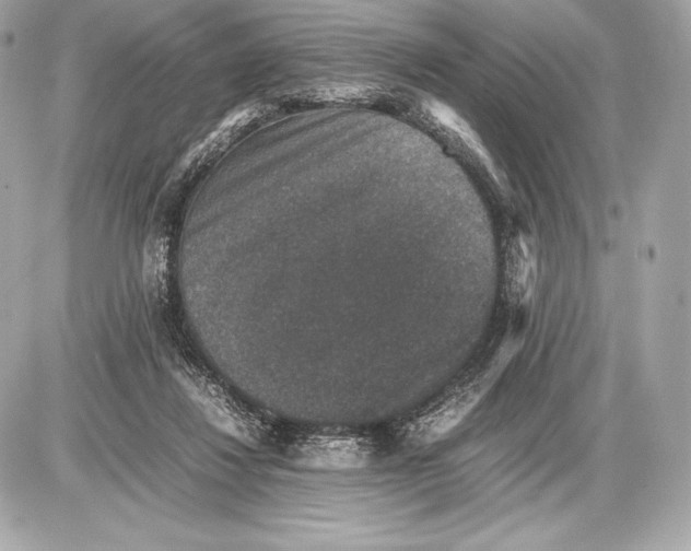 X0000085810260200704091614