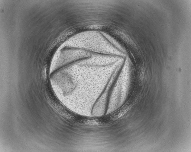 X0000085810262200704091614