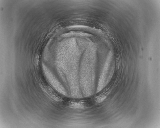 X0000085810263200704091614