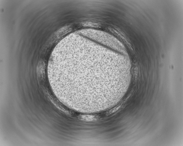 X0000085810265200704091614