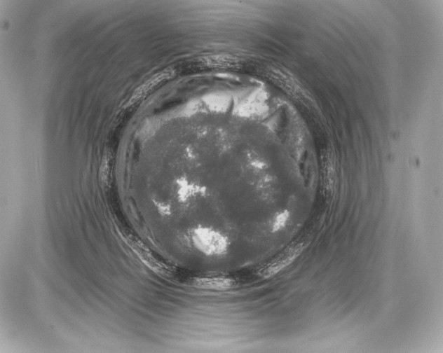 X0000085810266200704091614