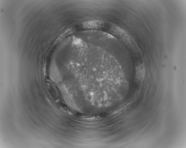 X0000085810267200704091614