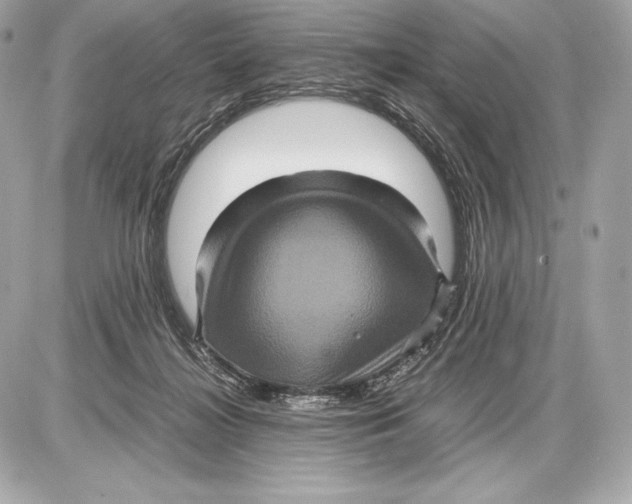 X0000085810268200704091614