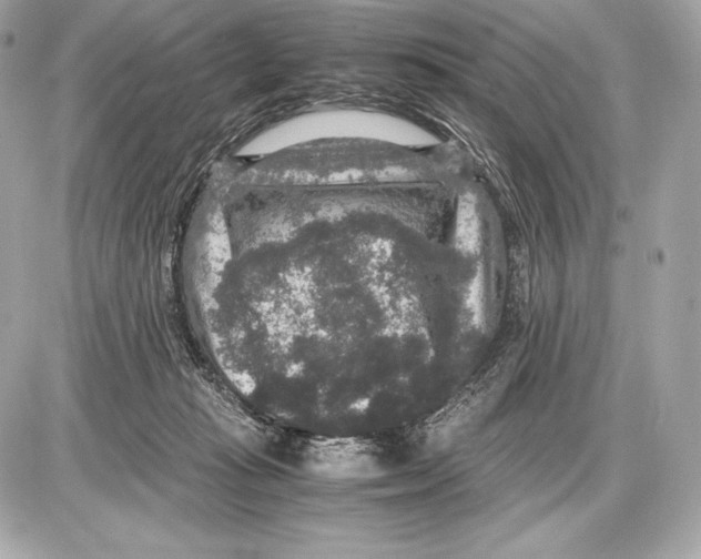 X0000085810269200704091614