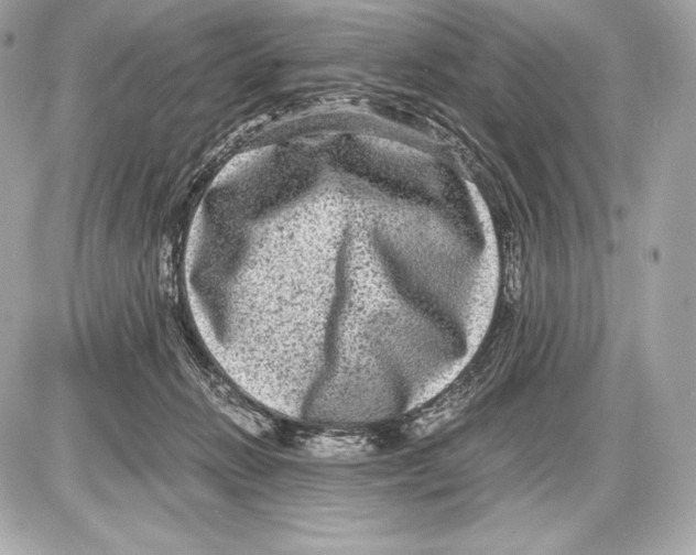 X0000085810270200704091614