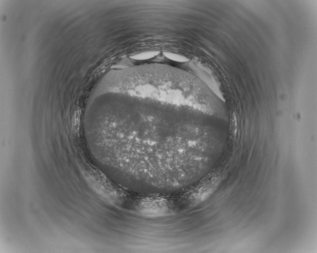 X0000085810271200704091614