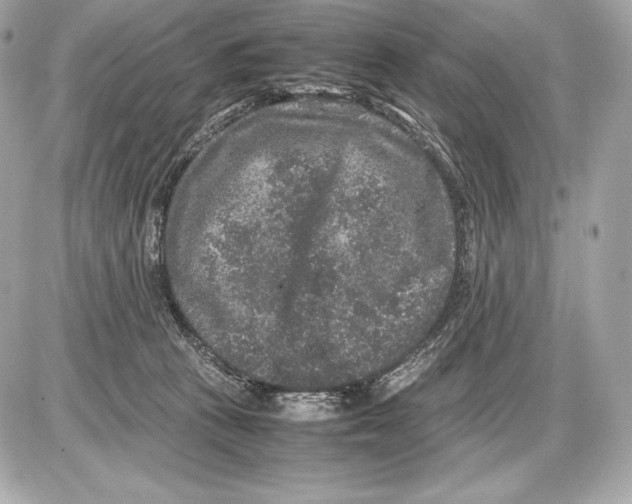 X0000085810273200704091614