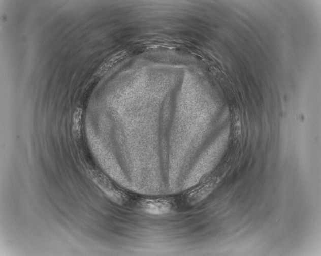 X0000085810275200704091614