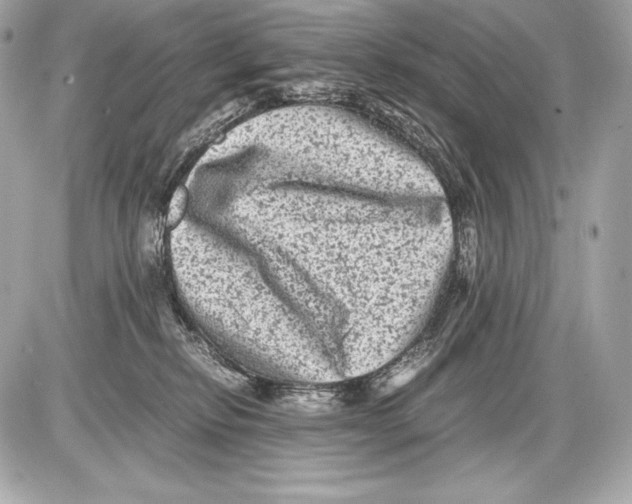 X0000085810278200704091614