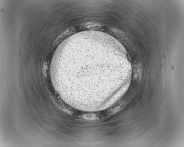 X0000085810279200704091614