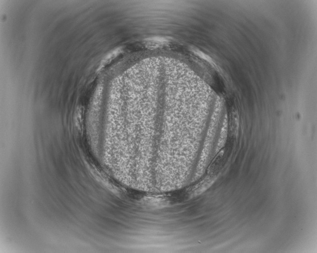 X0000085810280200704091614