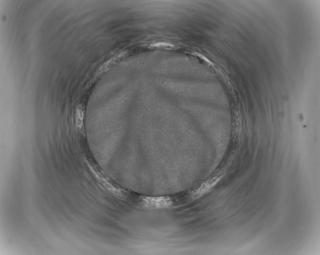 X0000085810281200704091614