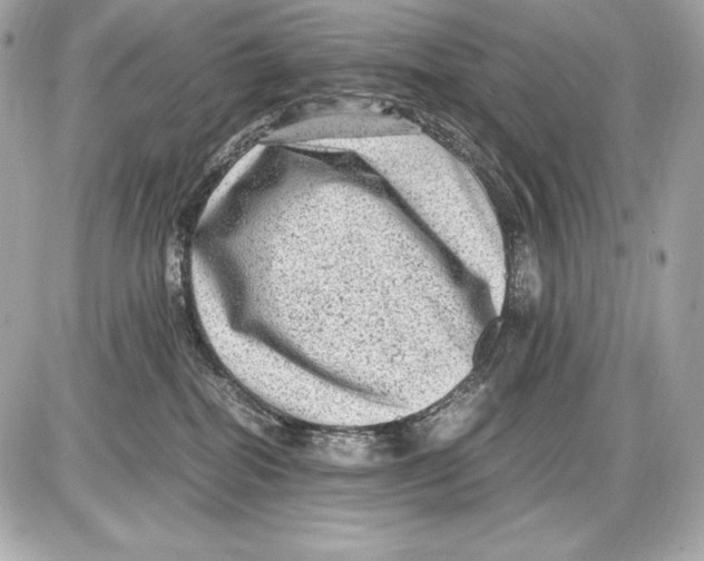 X0000085810282200704091614