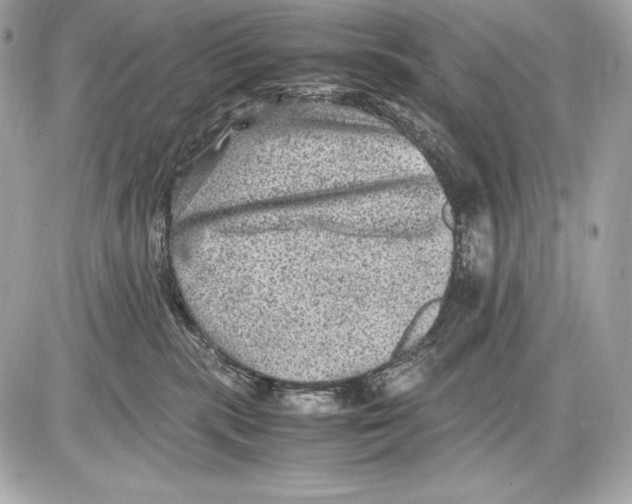 X0000085810283200704091614