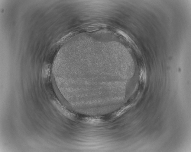 X0000085810284200704091614