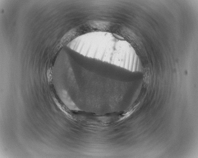 X0000085810285200704091614