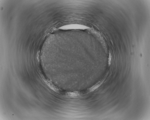 X0000085810286200704091614