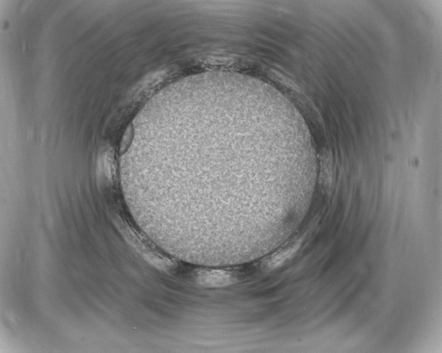 X0000085810287200704091614