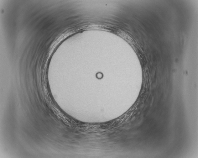 X0000085810289200704091614