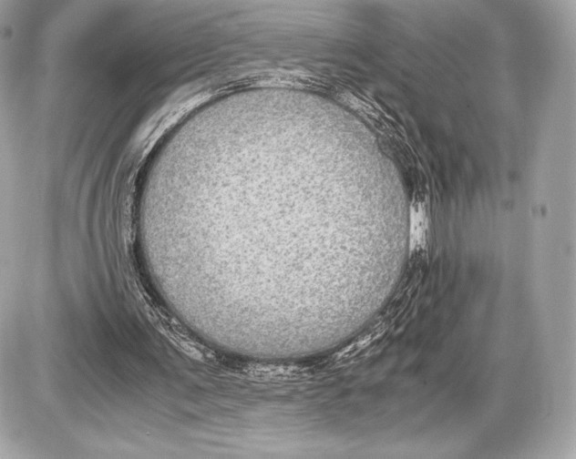 X0000085810291200704091614